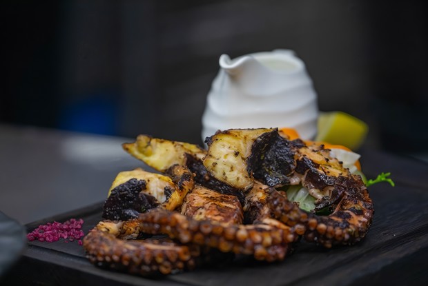 Осьминог на гриле с соусом дзадзики