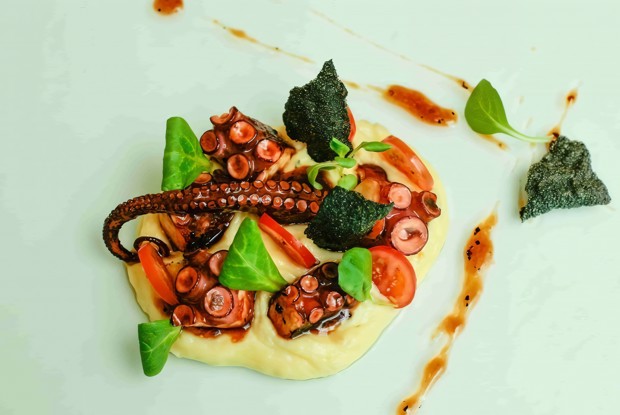 Осьминог в соусе из черного перца с картофельным пюре