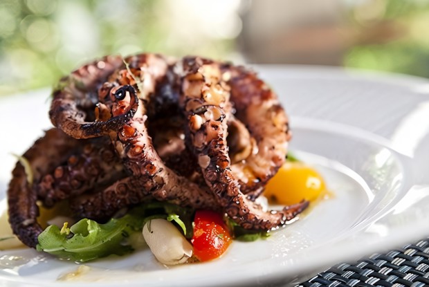 Осьминоги в белом вине