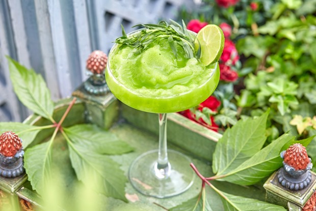 Освежающий лимонад «Тархун»