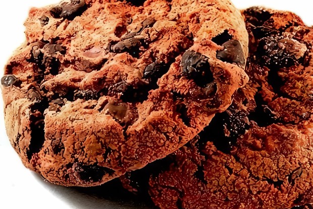 Овсяное печенье с медом и сухофруктами