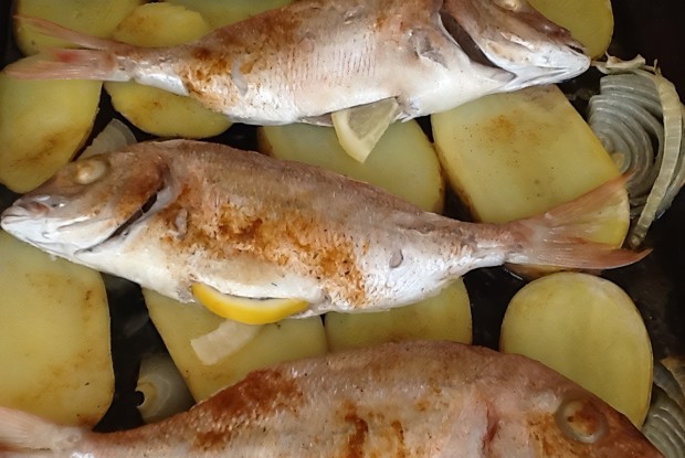 Пагель запеченный