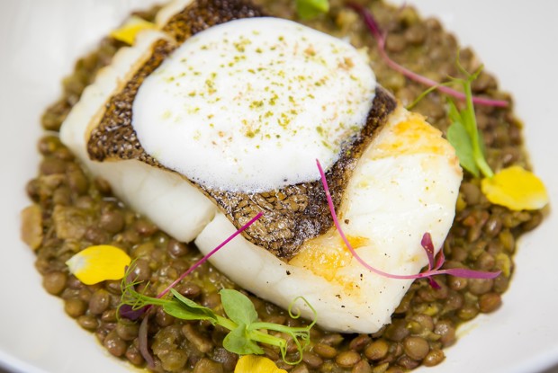 Палтус с чечевичотто