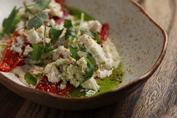 Печеный перец рамиро с соусом из тунца, сыром рикотта и семенами конопли