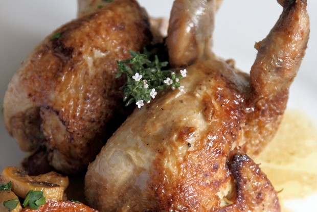 Перепелки (перепела), тушеные с тимьяном