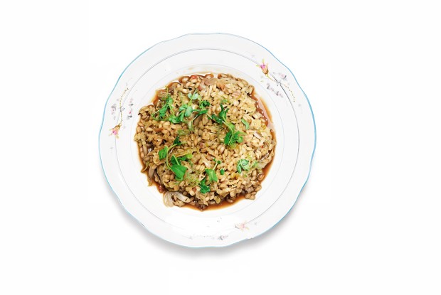 Перловка, томленая с гранатовым соусом и савойской капустой