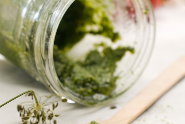 Песто из кинзы и перца халапеньо с грецкими орехами