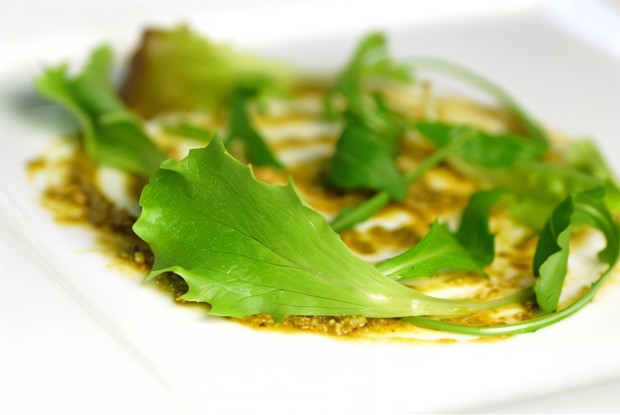 Песто из лимонов, базилика и кедровых орешков