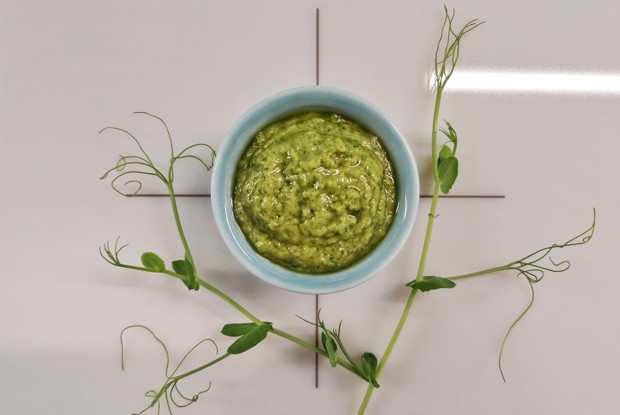Песто из микса микрозелени