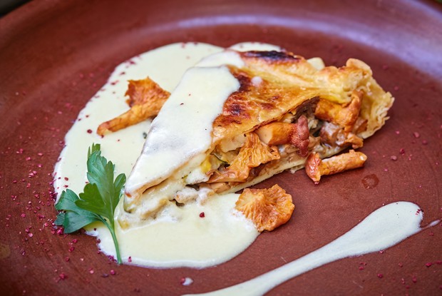 Пирог с фермерской уткой и лисичками