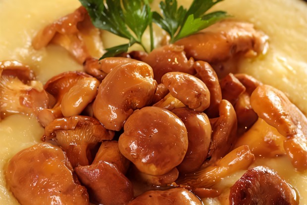 Полента с лисичками