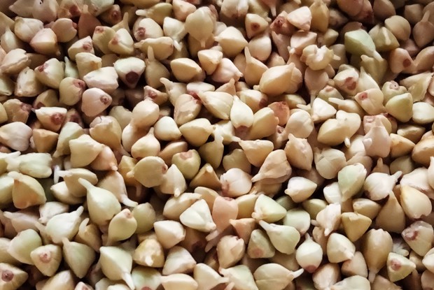 Пророщенная зеленая гречка