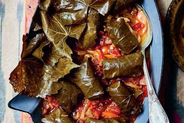 Пряная долма с мясом