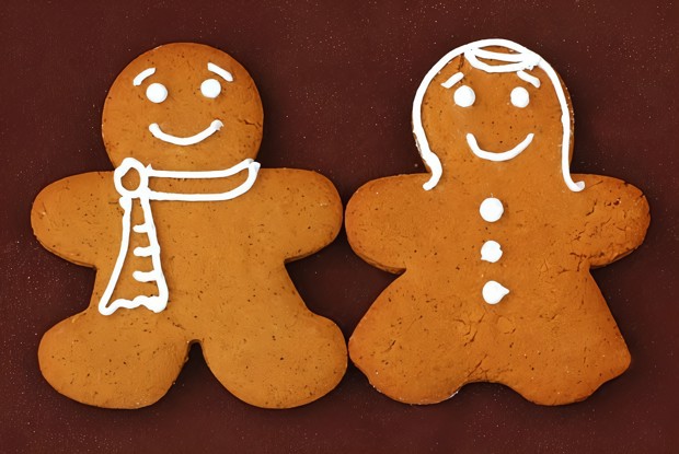 Пряное печенье с имбирем и медом