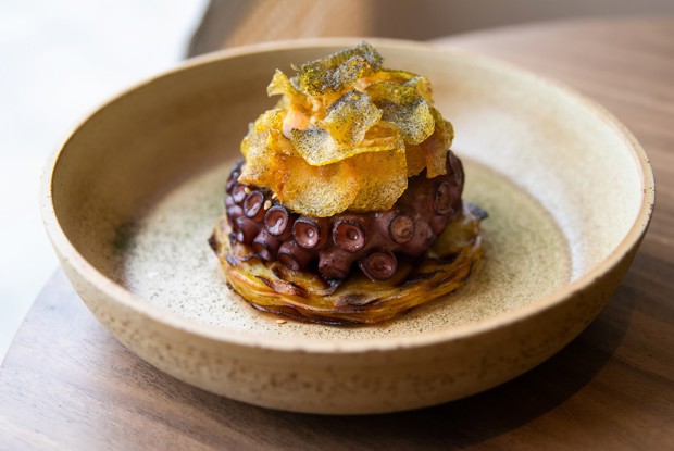 Пряный осьминог с картофельным гратеном