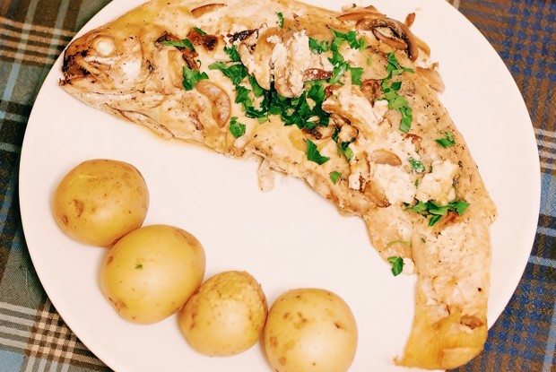 Радужная форель в грибном соусе