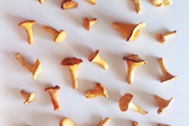 Рагу из лисичек и баклажанов