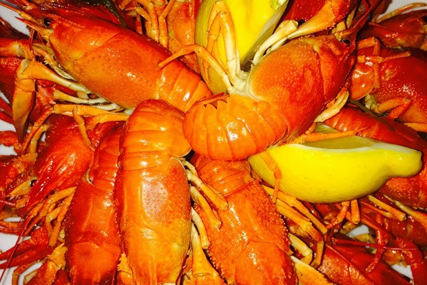 Раки отварные