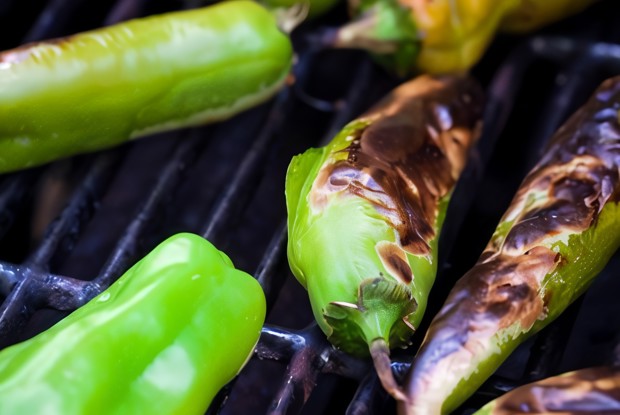 Разные перцы на гриле с крупной солью