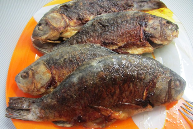 Рыба, жареная в муке