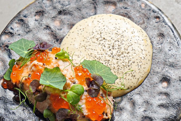 Риет из лосося с сицилийскими маслинами