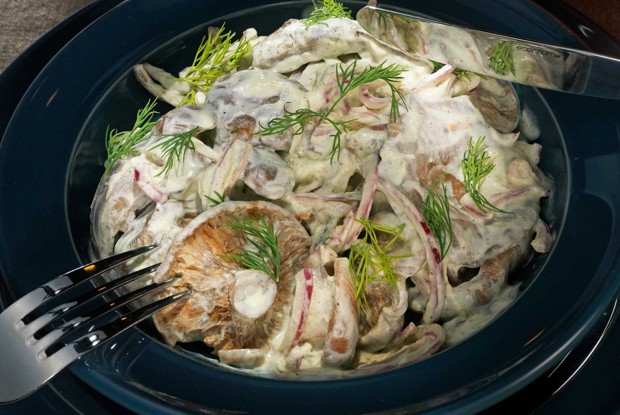 Рыжики в сметанно-горчичном соусе