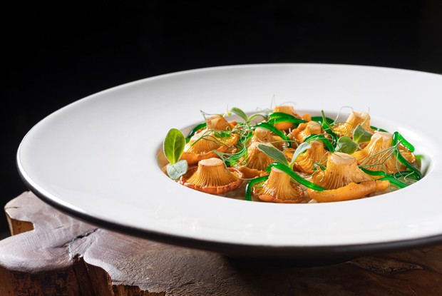 Ризотто с лисичками и желе из укропа