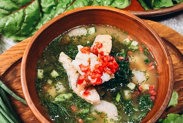 Рыбная ботвинья на квасе