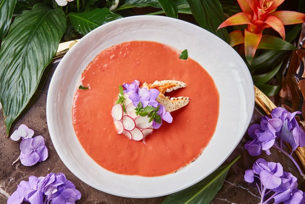 Рыжий гаспачо с крабом и страчателлой