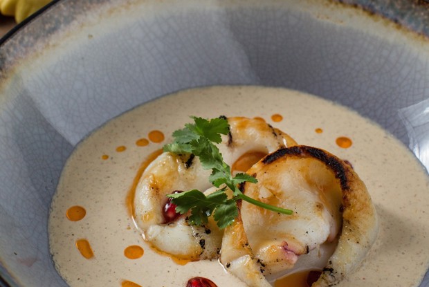 Сациви с кальмарами