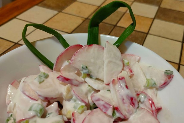 Салат из редиса и зеленого лука со сметаной