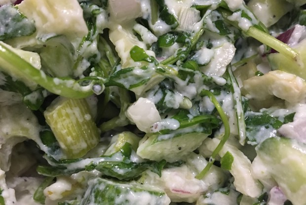 Салат с фенхелем, рукколой и сыром рикотта
