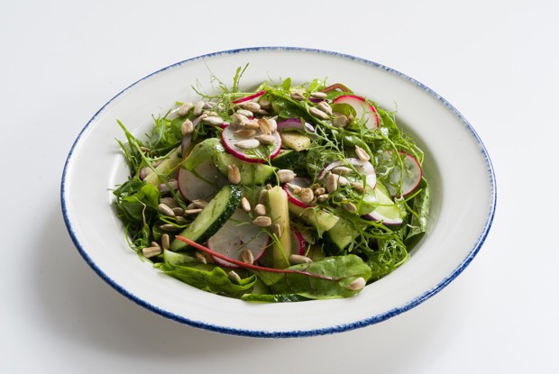 Салат с грядки