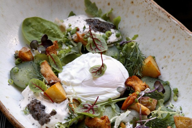 Салат с лисичками и томленой сметаной