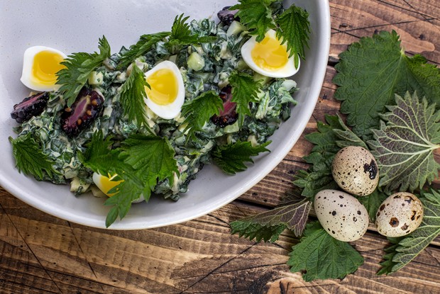 Салат с молодой крапивой