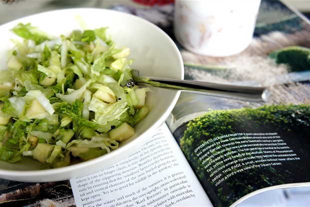 Салат с сельдереем и фруктами