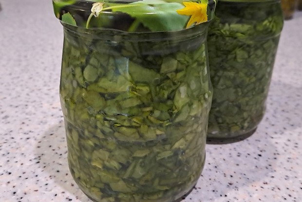 Щавель на зиму без стерилизации