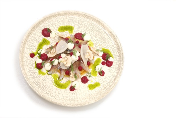 Сельдь с картофелем, луком и свеклой по-датски