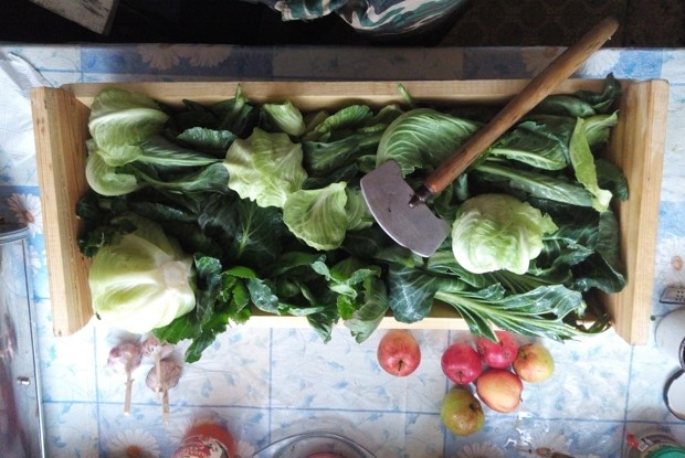 Серая квашеная капуста