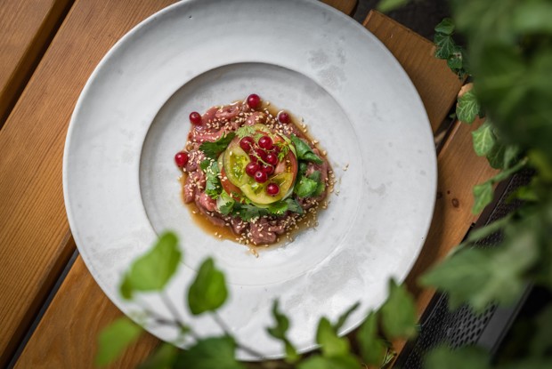 Севиче из бедра быка с сезонными томатами и красной смородиной