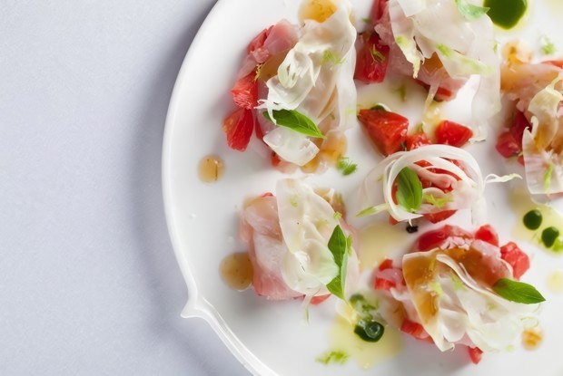 Севиче из дорады