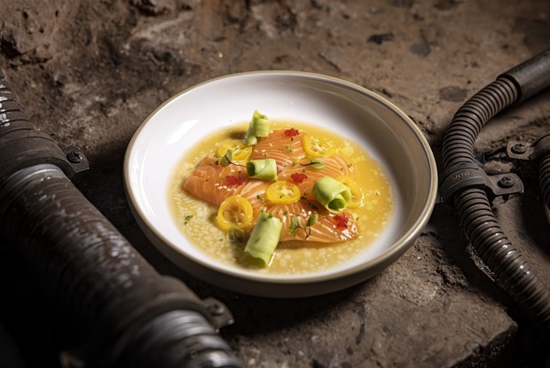 Севиче из лосося с соусом шисо и кумкватом