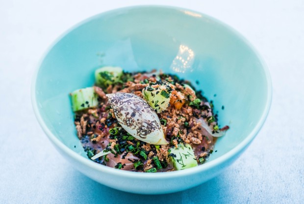 Севиче из семги с морошкой и водорослями