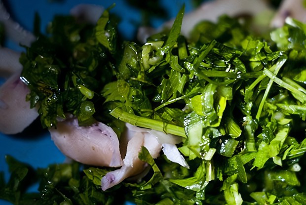 Сезонная летняя зелень с кальмаром