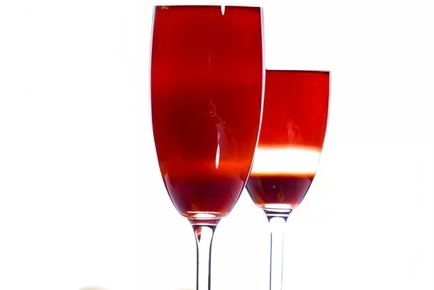 Шампанское с джином и клюквой