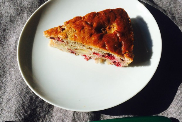 Шарлотка с антоновкой и брусникой без глютена