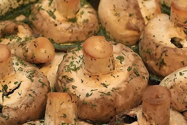 Шашлычки из шампиньонов