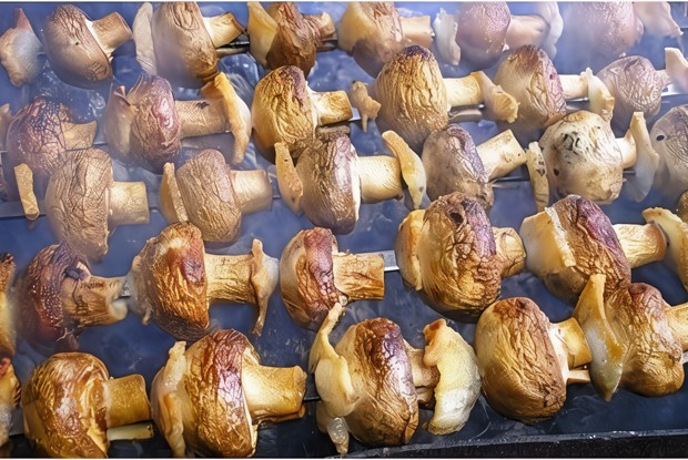 Шашлык из овощей и грибов