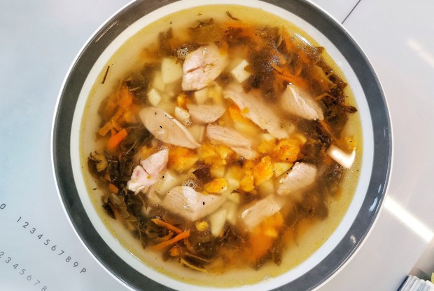 Щи из плеча индейки с щавелем и крапивой