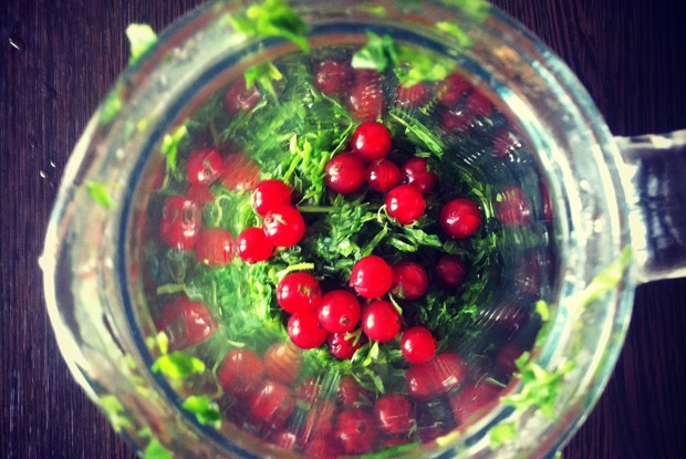 Щавелевый лимонад с красной смородиной